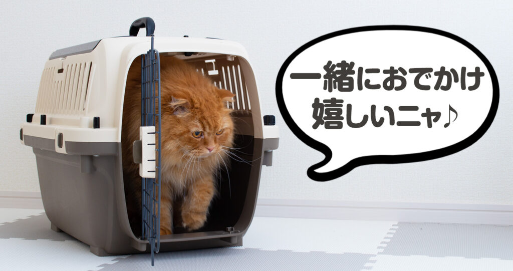 ペットケンネルトップオープンクリア