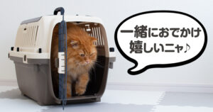 ペットケンネルトップオープンクリア