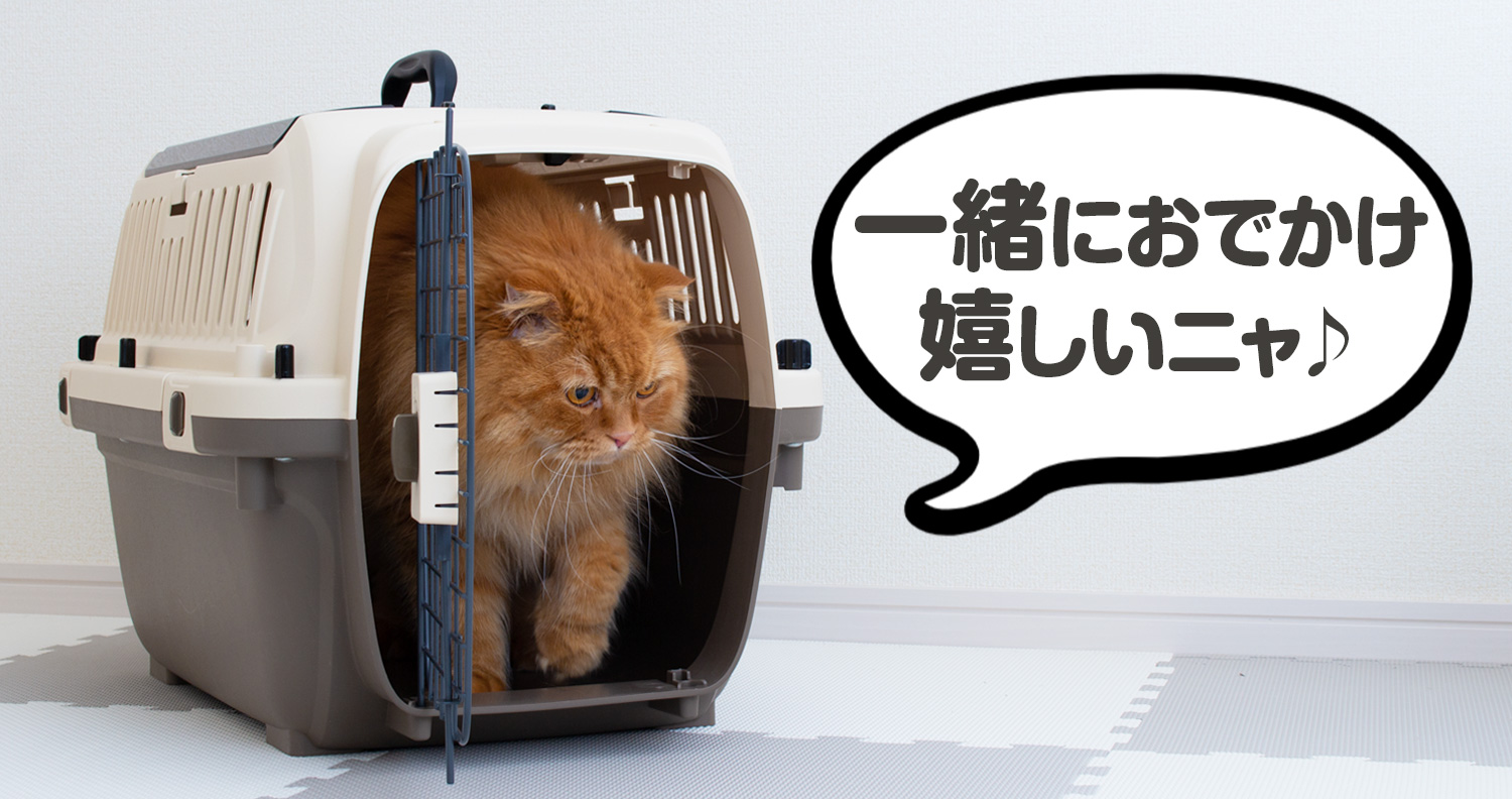 ペットケンネルトップオープンクリア